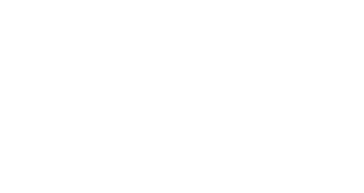 TeamPulseShop